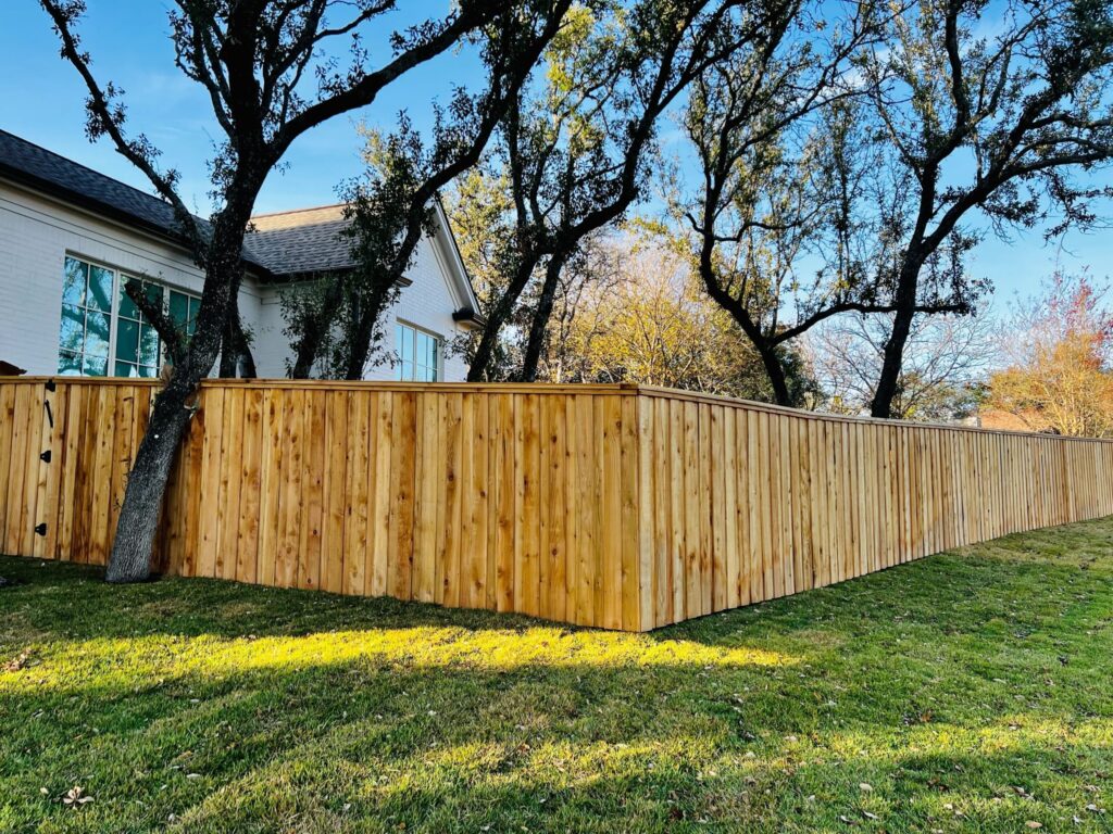 Cedar Picket Fences